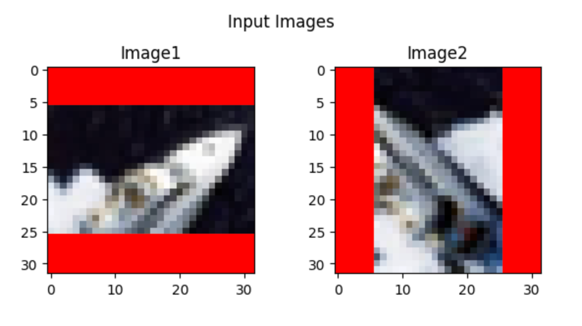 input images